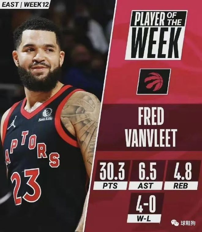 财务报告 财务报告