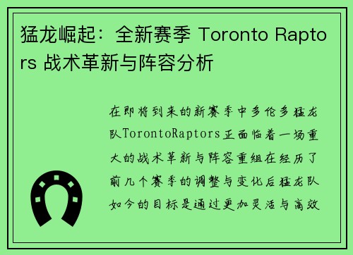 猛龙崛起：全新赛季 Toronto Raptors 战术革新与阵容分析